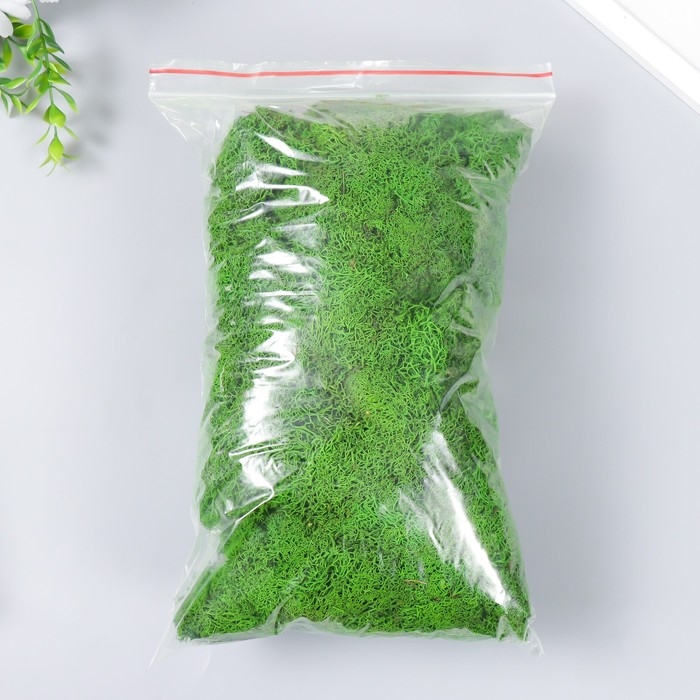 Мох стабилизированный Мох стабилизированный "Салатовый" 500 гр (+-5 гр).