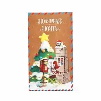 Пакет подарочный без ручек «Полярная почта», 10×19.5×7 см