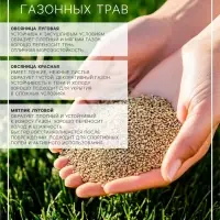Газонная травосмесь &laquo;Красотень Гном&raquo;, 0.5 кг
