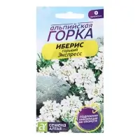 Семена цветов Иберис гиацинтовый "Экспресс", ц/п, 0,1 г Семена цветов Иберис гиацинтовый "Экспресс", ц/п, 0,1 г
