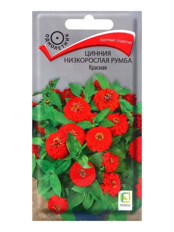 Семена цветов Цинния низкорослая Румба Красная, 0,1гр Семена цветов Цинния низкорослая Румба Красная, 0,1гр