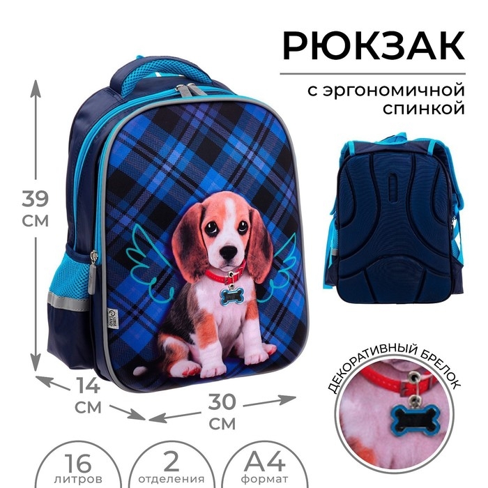 Рюкзак каркасный школьный, 39 х 30 х 14 см, Calligrata "Собачка"