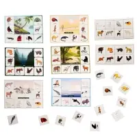 Лото детское Десятое Королевство &laquo;Кто где живёт?&raquo;, МИКС