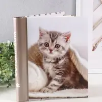 Фотоальбом 30 магнитных листов 23X28см, "Котёнок", пер-т внутр.спираль
