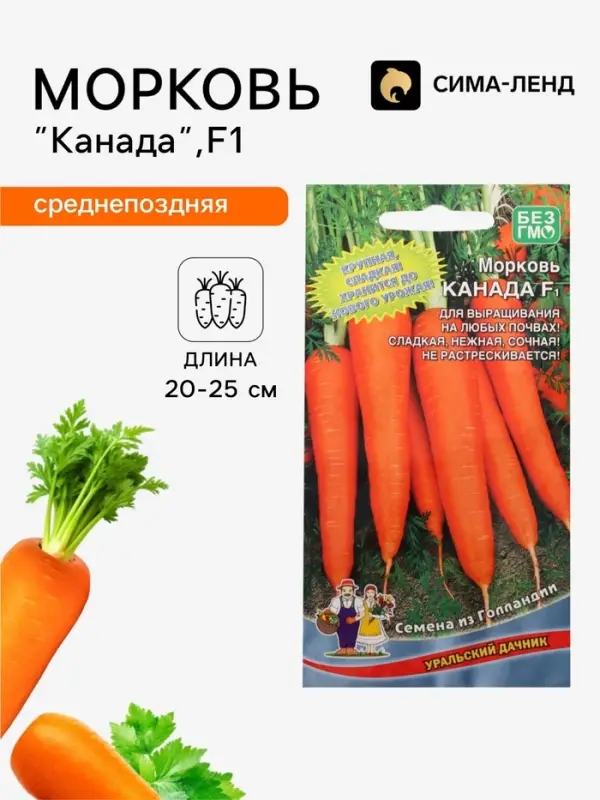 Семена Морковь &laquo;Канада&raquo;, F1, 0.2 г, 150 шт., &laquo;Уральский дачник&raquo;