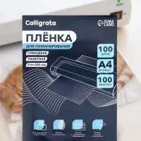 Пленка для ламинирования A4, 100 мкм 100 штук, глянцевая, 216&times;303 мм