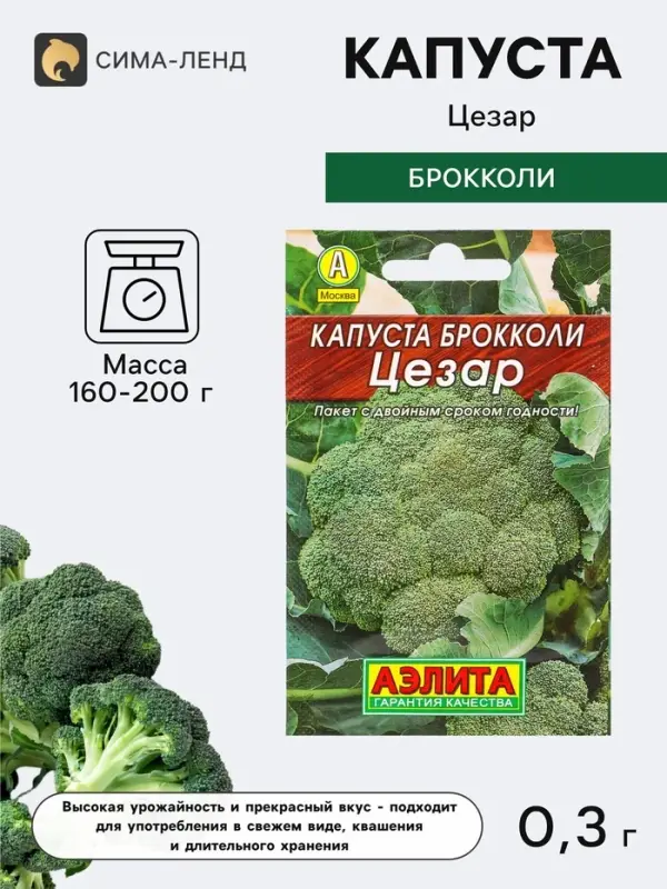 Семена Капуста брокколи &laquo;Цезар&raquo;, 0.3 г, &laquo;Аэлита&raquo;