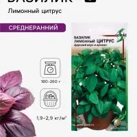 Семена Базилик &laquo;Лимонный Цитрус&raquo;, 130 шт., &laquo;Дом семян&raquo;
