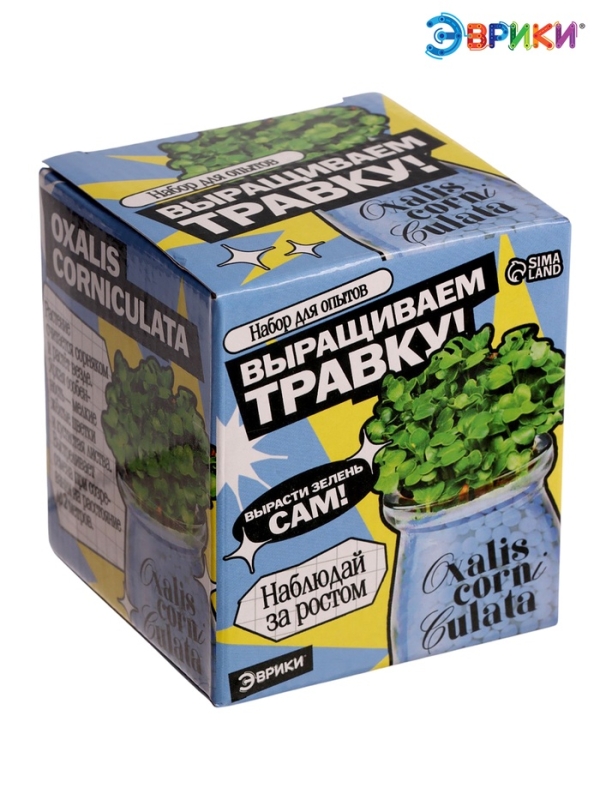 ЭВРИКИ Набор для опытов "Выращиваем травку", голубой