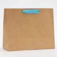 Пакет с PVC окном, &laquo;Мужской&raquo;, 24&times;11&times;20 см