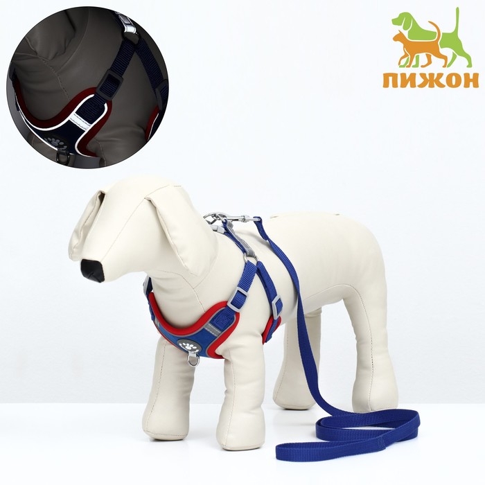 Комплект Sport+, L, поводок 120 x 1,5 см, ОШ 49-56 см, ОГ 56-68 см, вес животного 20-28 кг, синий 9 Комплект Sport+, L, поводок 120 x 1,5 см, ОШ 49-56 см, ОГ 56-68 см, вес животного 20-28 кг, синий 9