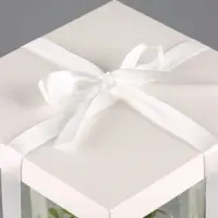 Коробка PVC, для цветов с лентой, 28&times;18&times;18 см, белый