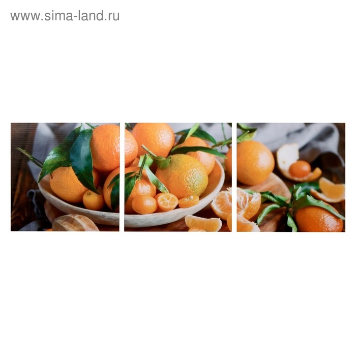Модульная картина  Модульная картина "Мандариновое настроение" (3-35х35) 35х105 см