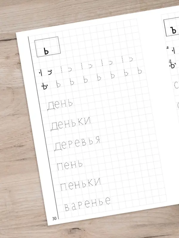 Рабочая тетрадь для детей 4-6 лет &laquo;Мои печатные прописи&raquo;, Бортникова Е.