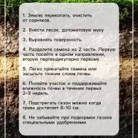Газонная травосмесь &laquo;Мавританский&raquo;, 100 г