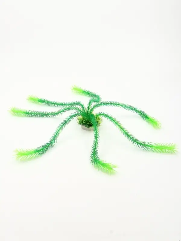 Растение для аквариума, до 35 см, зелёное