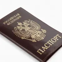 Обложка для паспорта, с гербом, с тиснением фольгой, гладкая, коричневая