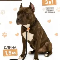 Ринговка для собак, 150&times;1 см, чёрная