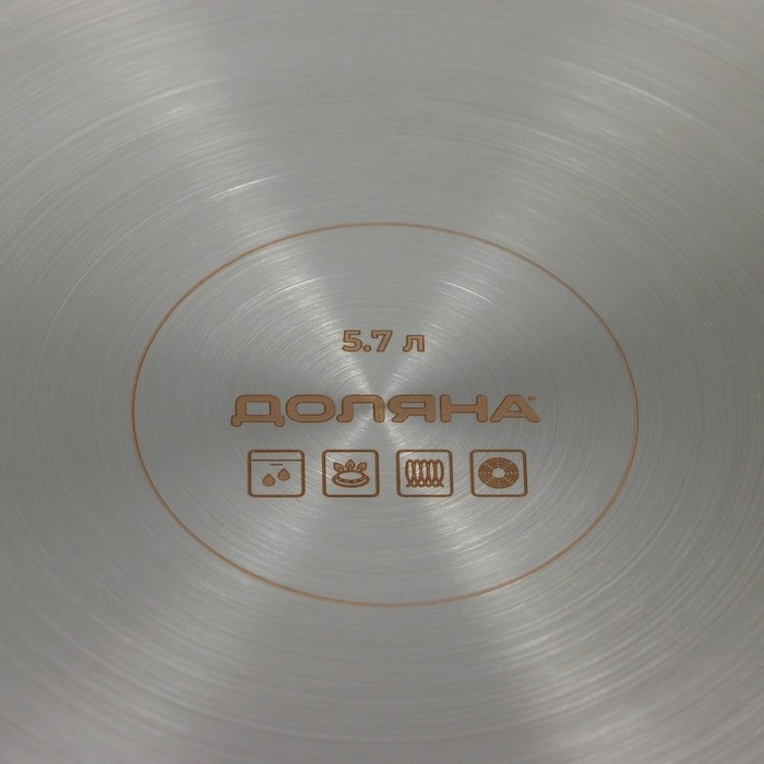 Кастрюля из нержавеющей стали «Грейт», 5,7 л, капсульное дно, индукция Кастрюля из нержавеющей стали «Грейт», 5,7 л, капсульное дно, индукция