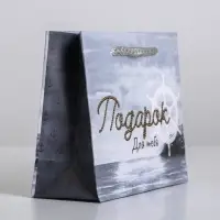 Пакет подарочный ламинированный, упаковка, Present for you, S 15 х 12 х 5.5 cм