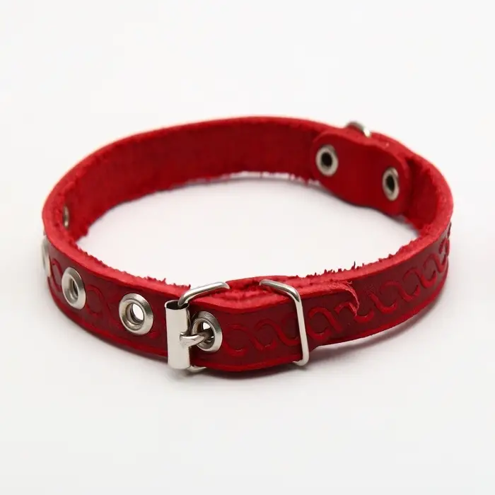 Ошейник, 1.2 см, ОШ 20-26 см, однослойный, неукрашенный, цвет и вид МИКС