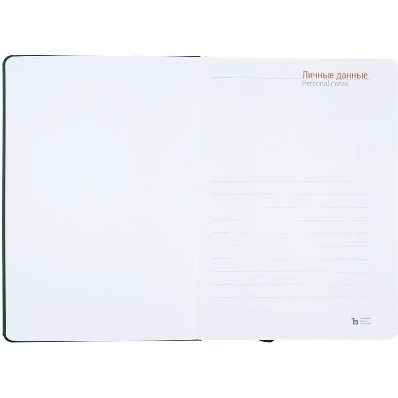 Ежедневник Basis, датированный, зеленый Ежедневник Basis, датированный, зеленый