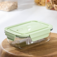 Контейнер из жаропрочного стекла с крышкой Cook and Freeze, 650 мл, 17,5×13×6 см, цвет МИКС