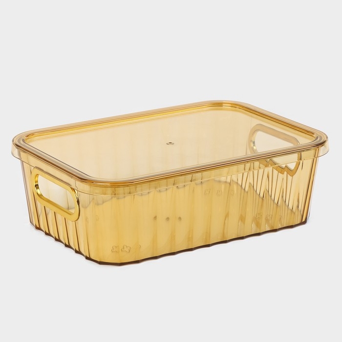 Контейнер для хранения с крышкой «Грани», 25,5×18×8 см, цвет МИКС Контейнер для хранения с крышкой «Грани», 25,5×18×8 см, цвет МИКС