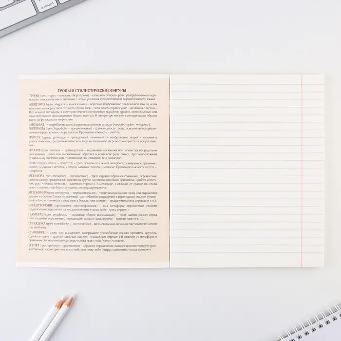 Тетрадь в линейку, предметная, 48 л.,на скрепке, А5 &laquo;КОТ. Литература&raquo;