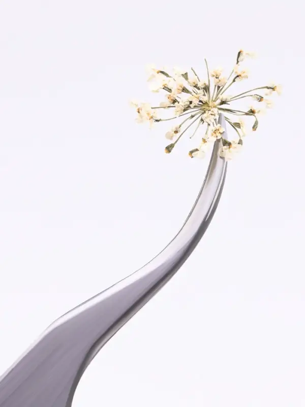 Сухоцветы для декора &laquo;Яркость&raquo;, в футляре, МИКС