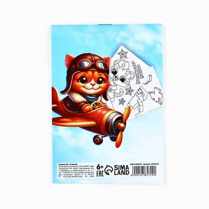 Блокнот раскраска А6, 12 л. «Енот. 23 февраля»