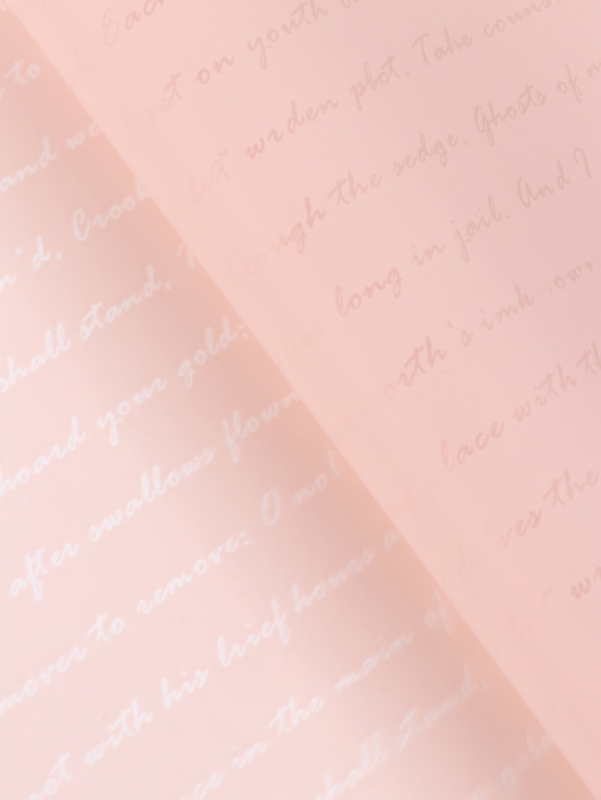 Пленка для цветов «Послание», пудра, 57 см × 10