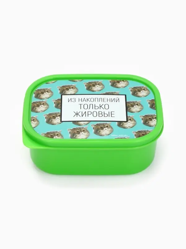 Ланч - бокс прямоугольный &laquo;Накопления&raquo;, 500 мл