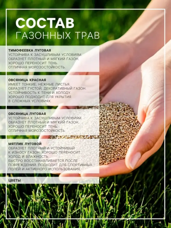 Газонная травосмесь &laquo;Мавританский &raquo; 1.0 кг