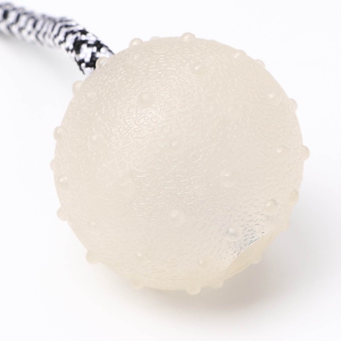 Игрушка для собак Игрушка для собак "Луна", светящаяся в темноте, на канате, 6 см