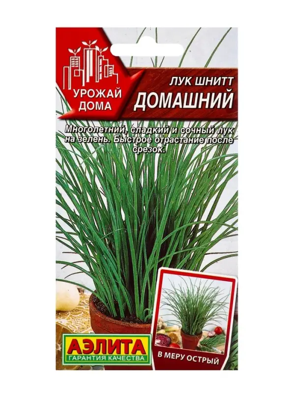 Семена Лук шнитт &laquo;Домашний&raquo;, 0.3 г