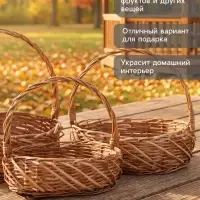 Корзина плетёная для хранения Neri, лоза, с ручкой, коричневая, набор 3 шт.