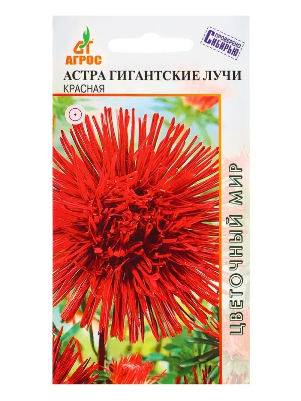 Семена Астра гигант Лучи Красная 0,3 г Семена Астра гигант Лучи Красная 0,3 г