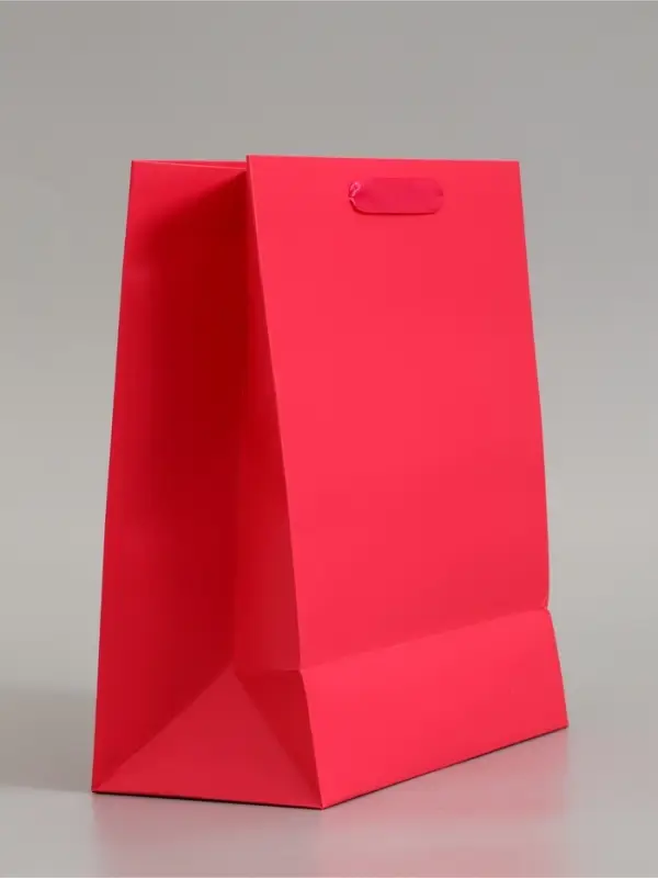 Пакет подарочный ламинированный, упаковка, &laquo;Фуксия&raquo;, ML 23&times;27&times;11.5 см