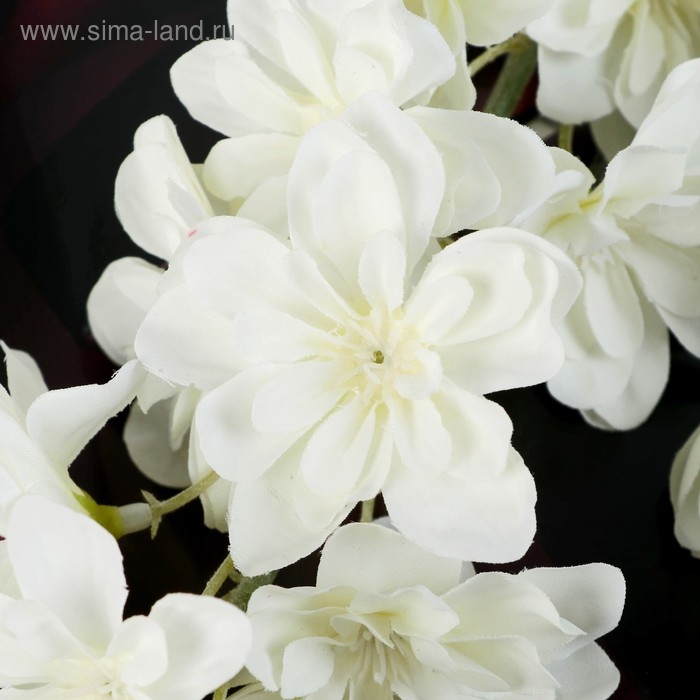 Цветы искусственные Цветы искусственные "Клематис" 6х80 см, белый