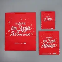 Набор новогодних пакетов «Новогодний подарок» Набор новогодних пакетов «Новогодний подарок»