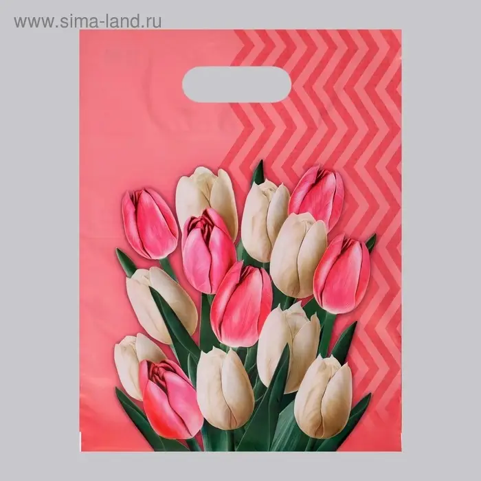 Пакет «Диана» полиэтиленовый с вырубной ручкой, МИКС, 50 мкм, 30×40 см Пакет «Диана» полиэтиленовый с вырубной ручкой, МИКС, 50 мкм, 30×40 см