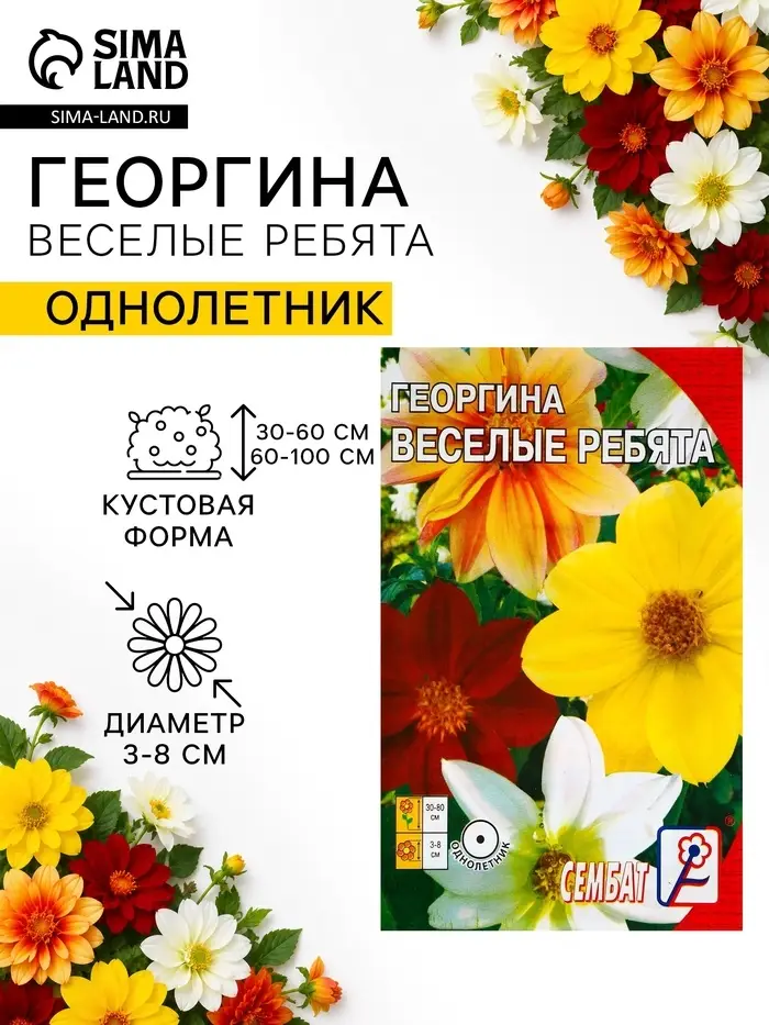 Семена цветов Георгина &laquo;Веселые ребята&raquo;, однолетник, 0.1 г, &laquo;Сембат&raquo;