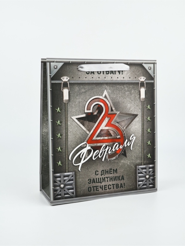 Пакет подарочный ламинированный «23 февраля», M 25.5 х 30 х 9 см