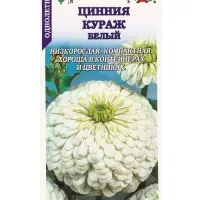 Семена Цинния Кураж Белый /Сотка/ 0,2г/ h-35см d-9см /*1000 Семена Цинния Кураж Белый /Сотка/ 0,2г/ h-35см d-9см /*1000