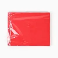 Фоамиран "Красный блеск" 2 мм, формат А4, набор 10 листов