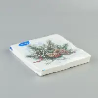 Салфетки новогодние бумажные &laquo;Морозная мелодия&raquo;, 33&times;33, 2 слоя, 20 шт.