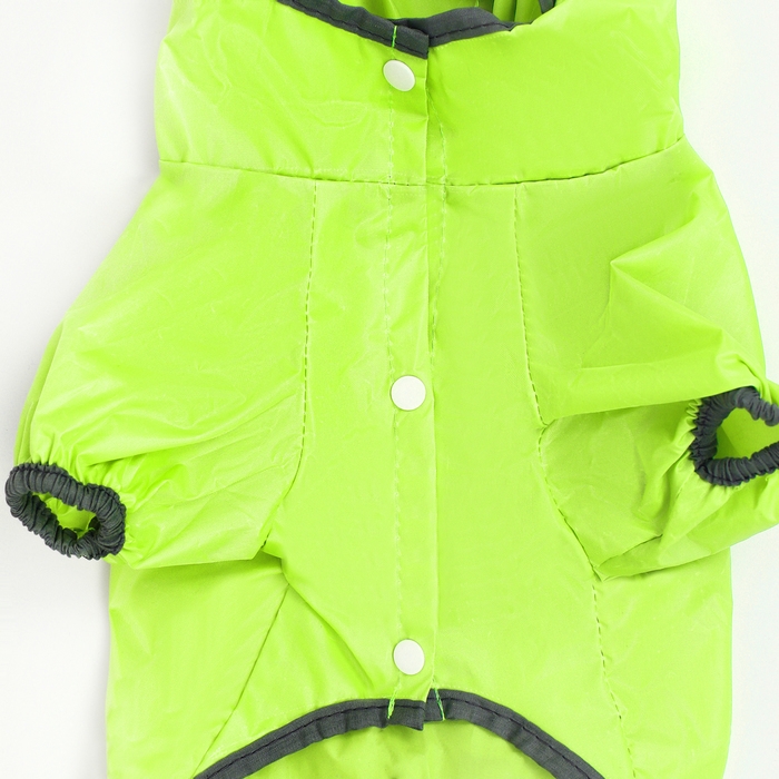 Комбинезон для собак, демисезонный с козырьком, размер S (ДС 28, Ог 41, ОШ 31 см), зелёный Комбинезон для собак, демисезонный с козырьком, размер S (ДС 28, Ог 41, ОШ 31 см), зелёный