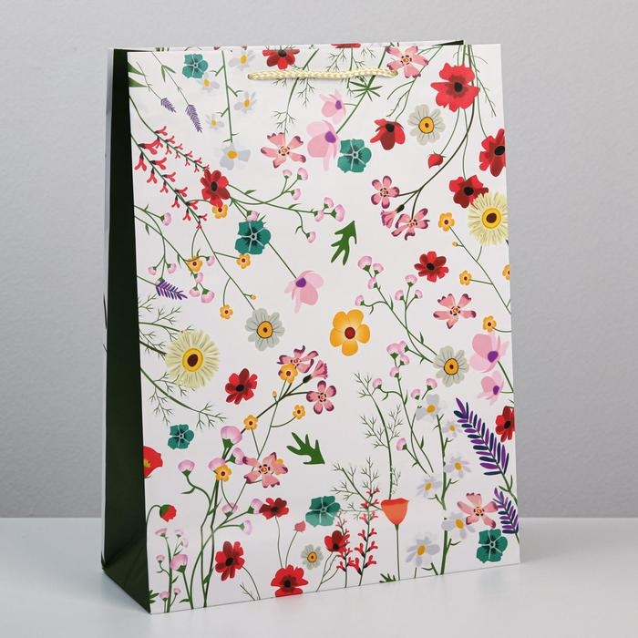 Пакет подарочный ламинированный, упаковка, «Расцветай от счастья», L 28 х 38 х 9 см Пакет подарочный ламинированный, упаковка, «Расцветай от счастья», L 28 х 38 х 9 см