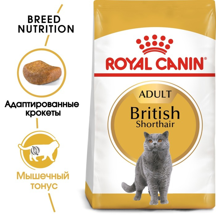 Сухой корм RC British Shorthair для британских кошек, 4 кг